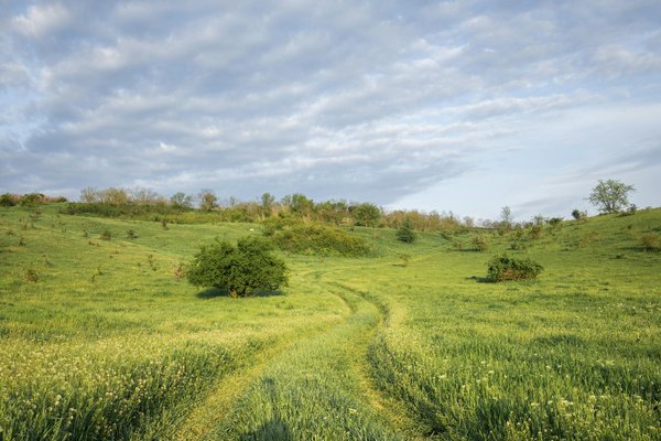 Hur Man Undvika Vanliga Fallgropar I Internet Spel . svenskt område Get Bonus Now