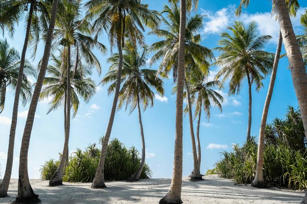 Möglichkeiten Zur Finden Vertrauenswürdiger Online Wetten Portale – DE Deposit & Play