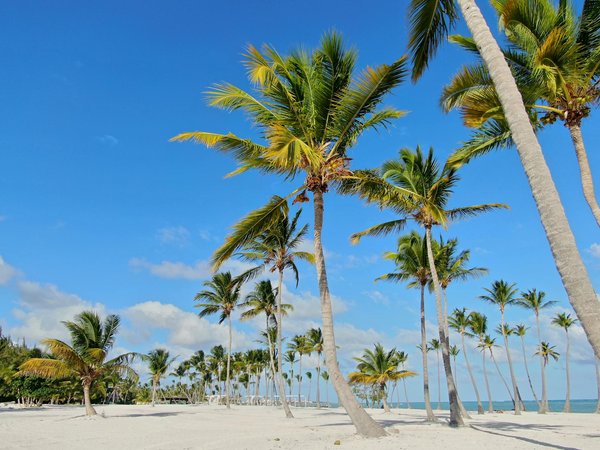 Découvrir Célèbre Virtuel Jeux Dargent ◦ zone euro Grab Your Bonus Locowin casino