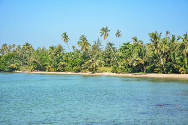 Bonusový Kód Kasina Frumzi ◦ Česko Play for Real