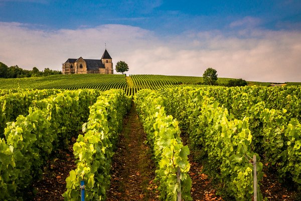 Comment choisir une croisière qui offre des excursions pour découvrir les vignobles en Suisse?